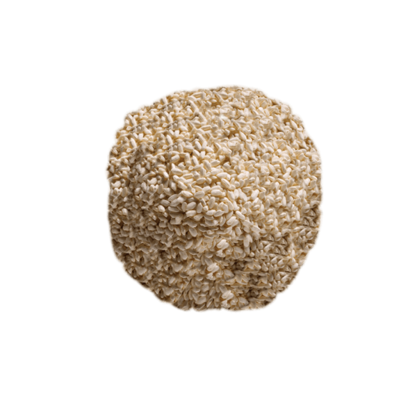 Koji deshidratado de aspergillus oryzae en arroz blanco, 500g, perfecto para hacer shio-koji, amazake, miso o creaciones fermentadas en grandes cantidades.