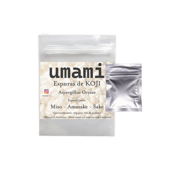iniciador de koji artesanal – esporas de fermentación japonesa para miso, amazake y shio-koji